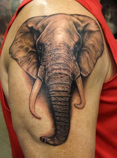 Słoń Tattoo